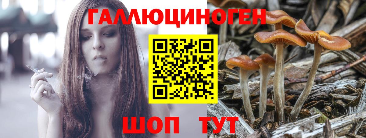 Галлюциногенные грибы Cubensis  Вход с VPN  Холмск 